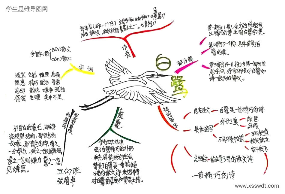 五年级上册《白鹭》思维导图-第2张
