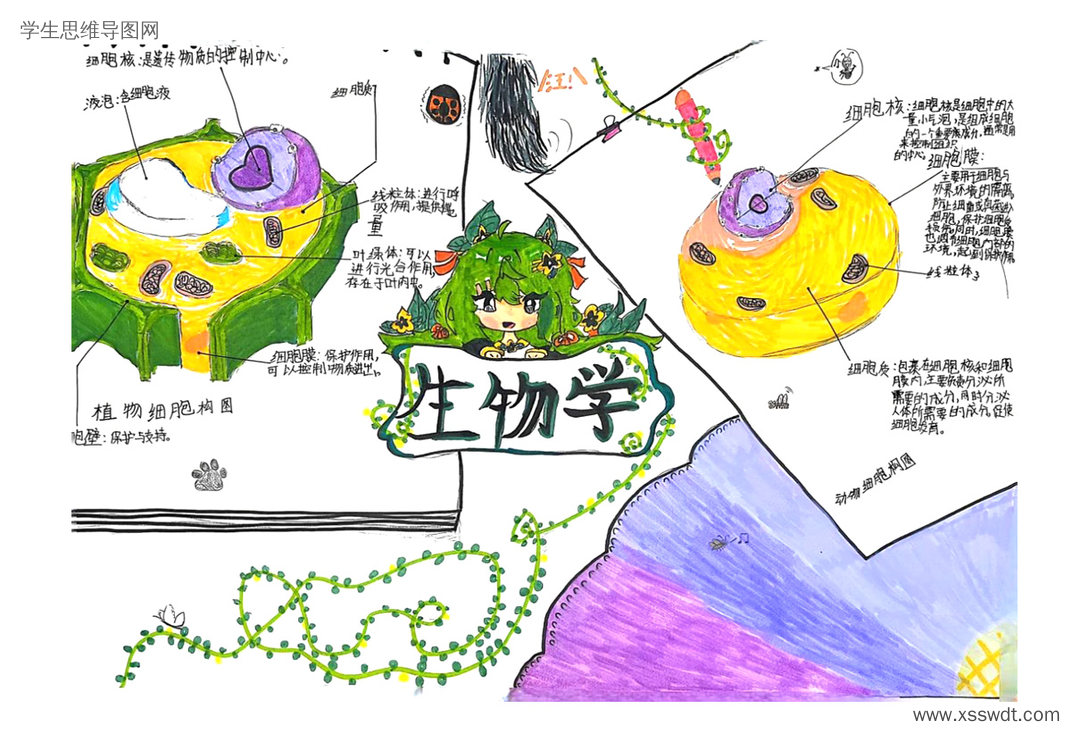 七年级生物动植物细胞结构思维导图-第1张