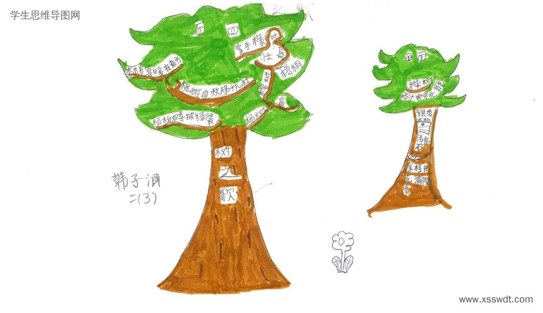 二年级上册《树之歌》思维导图精选-第2张