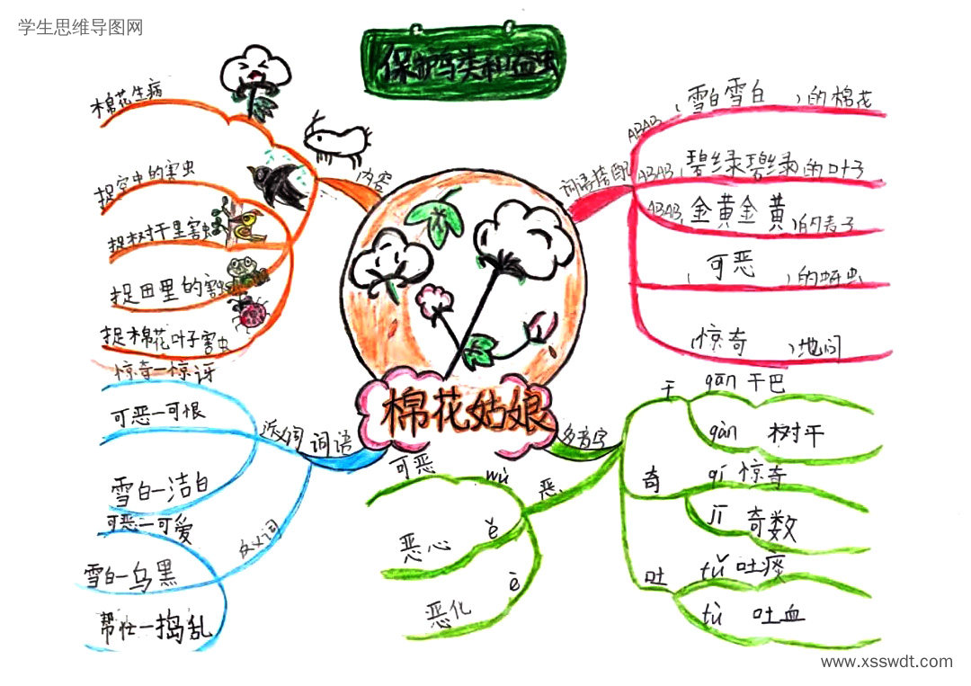 一年级语文课文《棉花姑娘》思维导图