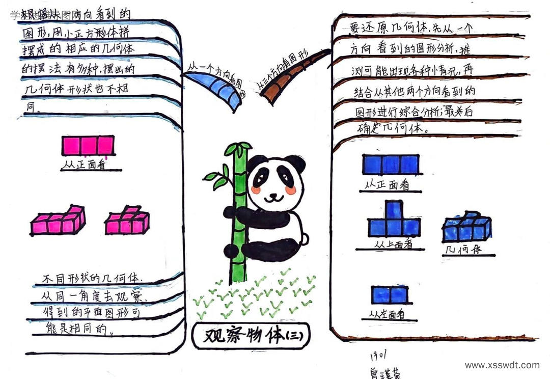 五年级数学《观察物体》思维导图精选8张
