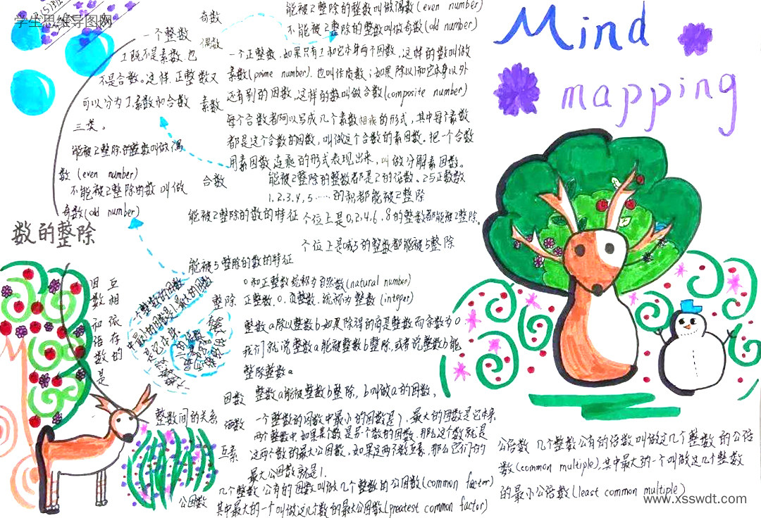 六年级《数的整除》思维导图简单又漂亮